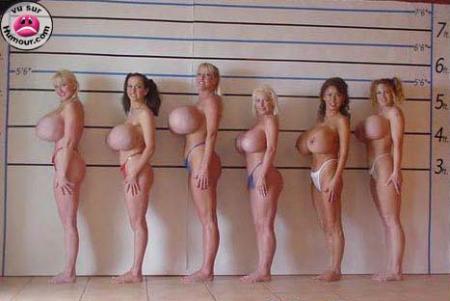 Inspection de la police